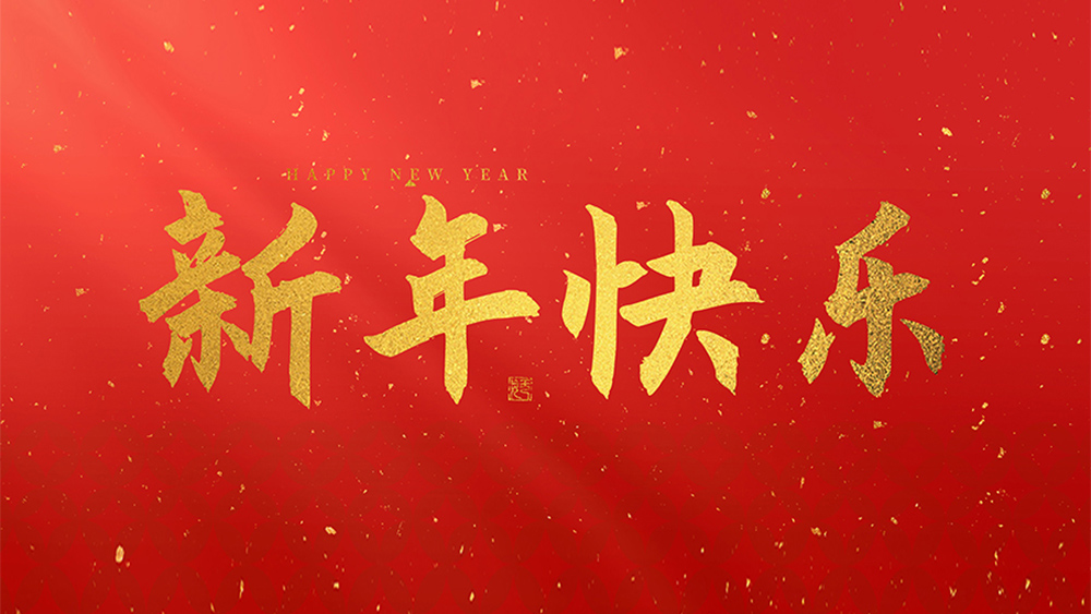 麗水市威儀自動化技術有限公司祝全國人民2025新年快樂！